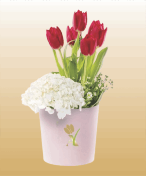 Flores 1
