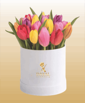 10 Box con Tulipanes Colores Surtidos