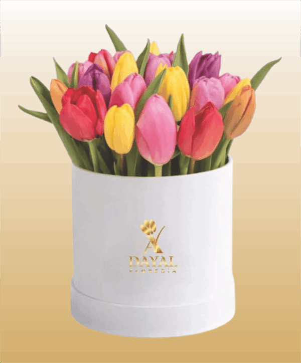 10 Box con Tulipanes Colores Surtidos