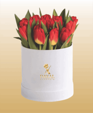 12 Box con 10 Tulipanes