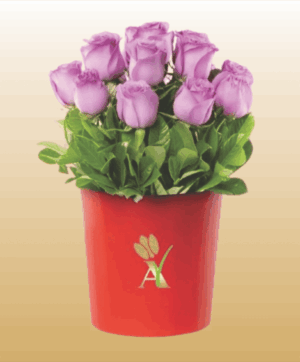 Flores 12