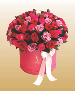 14 Box con 80 Rosas Color Pastel mas Fino Follaje