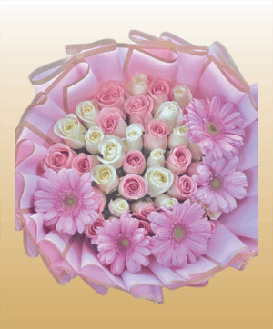 Flores 37