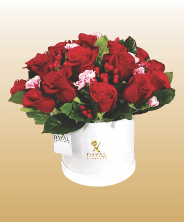 Box Blanco con 24 Rosas y Claveles mas fino Follaje
