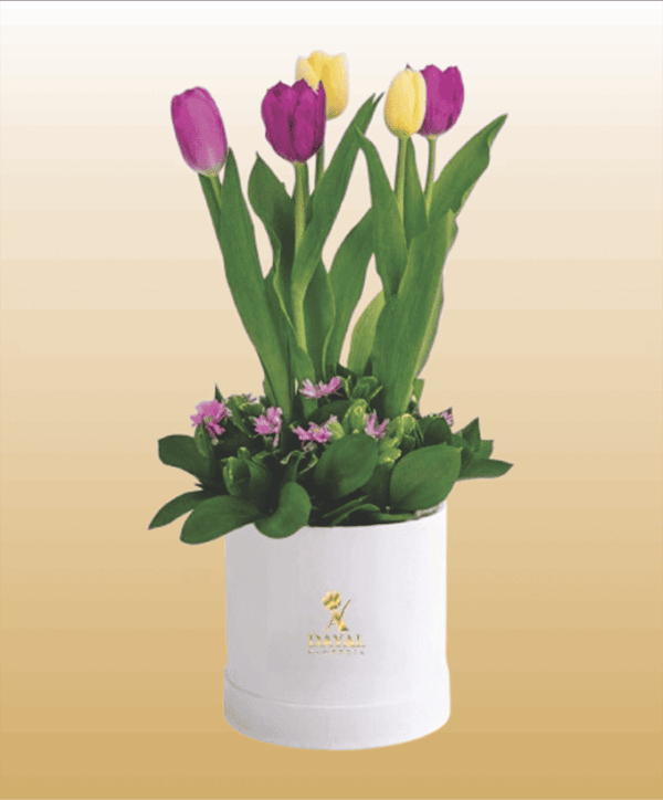 Box Blanco con Tulipanes mas fino Follaje