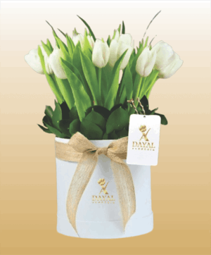 20 Box com 10 Tulipanes Blancos mas Follaje y Lazo Yute