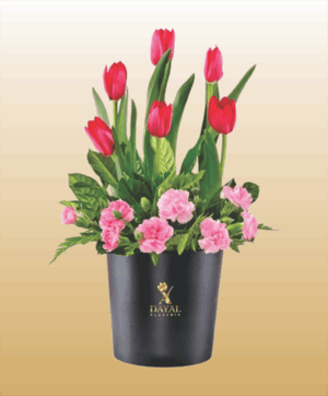 23 Box con Tulipanes Rojos y Claveles Rosados mas fino Follaje