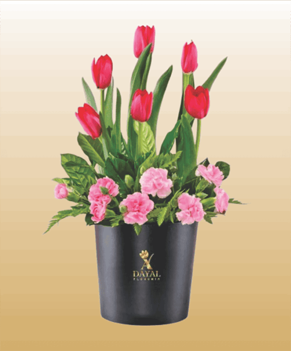Box con Tulipanes Rojos y Claveles Rosados mas fino Follaje