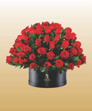 24 Box Grande con 100 Rosas Rojas mas fino Follaje