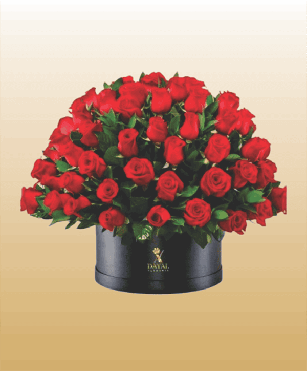 24 Box Grande con 100 Rosas Rojas mas fino Follaje