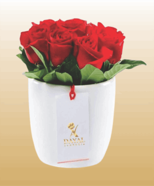 Box Blanco con 10 Rosas mas fino Follaje