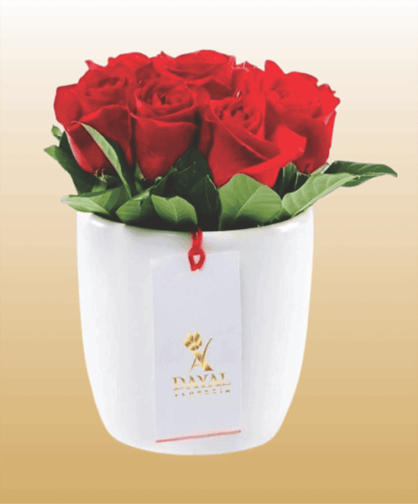 25 Box Blanco con 10 Rosas mas fino Follaje