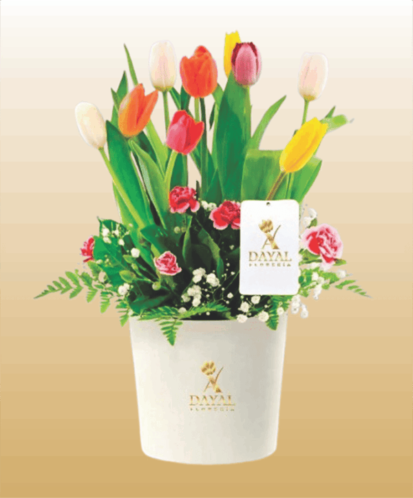 Box con 10 Tulipanes Colores Surtidos, Claveles y fino Follaje