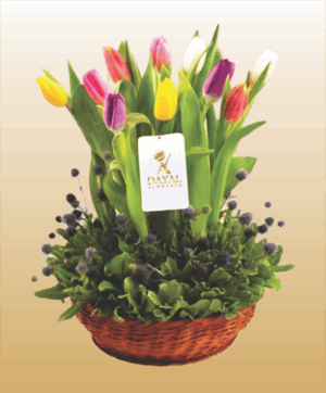33 Canasta con 10 Tulipanes Colores Surtidos mas fino Follaje