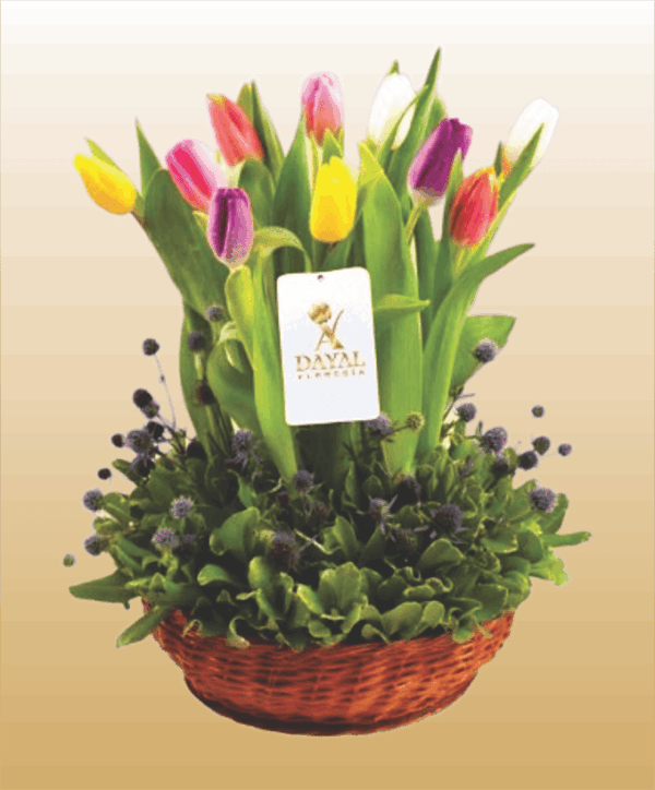 33 Canasta con 10 Tulipanes Colores Surtidos mas fino Follaje