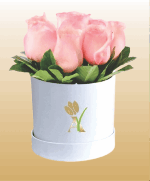 Flores 5