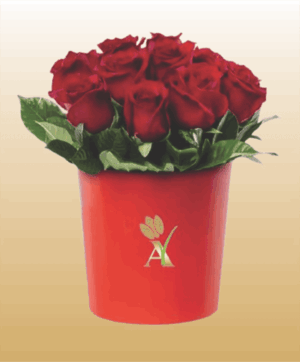 Flores 6