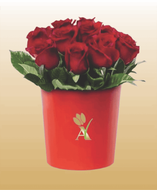 Flores 6
