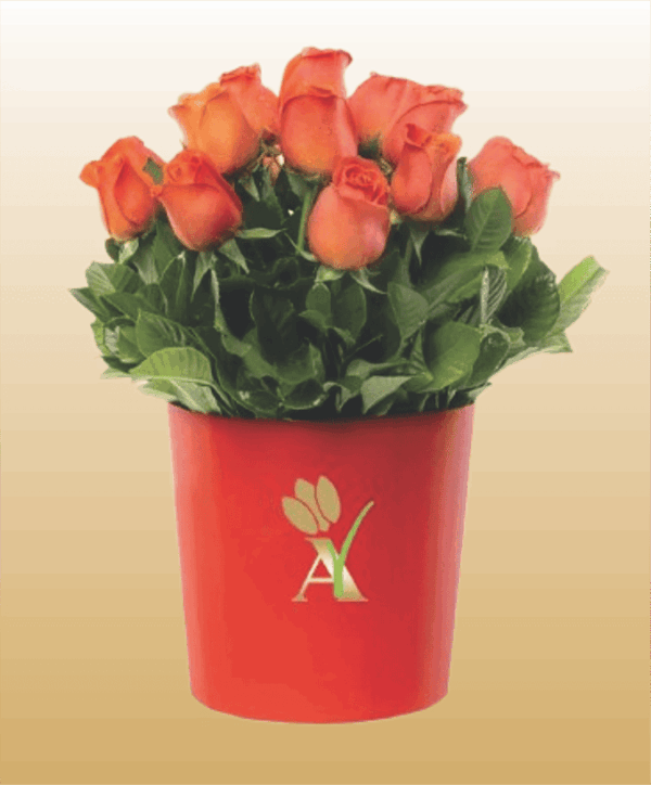 Flores 7