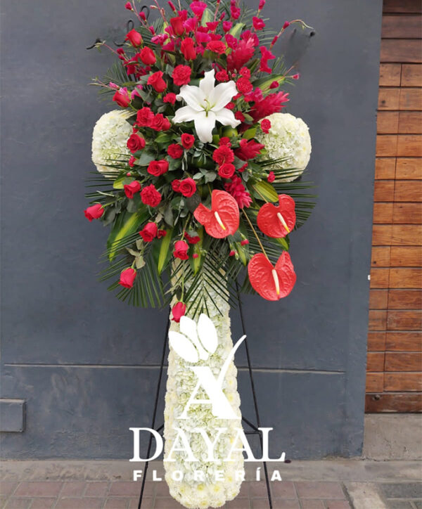 1 Cruces Especiales 1