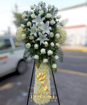Cruces Especiales 2