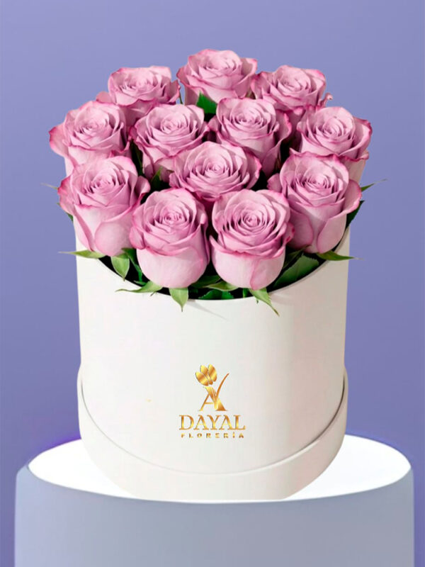14 Box con 12 rosas lilas importadas