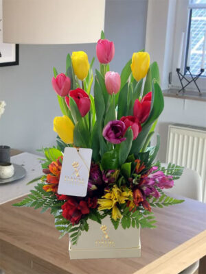 Box con 10 tulipanes colores Box con 10 tulipanes colores